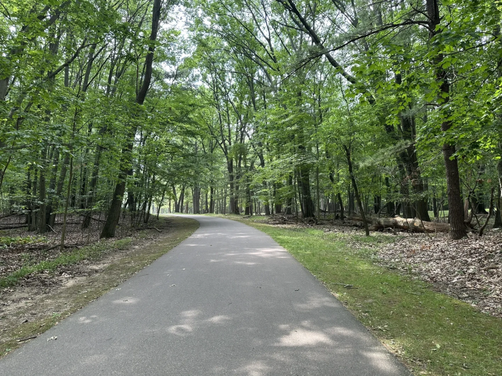 Wooded walking path near the Parkview office