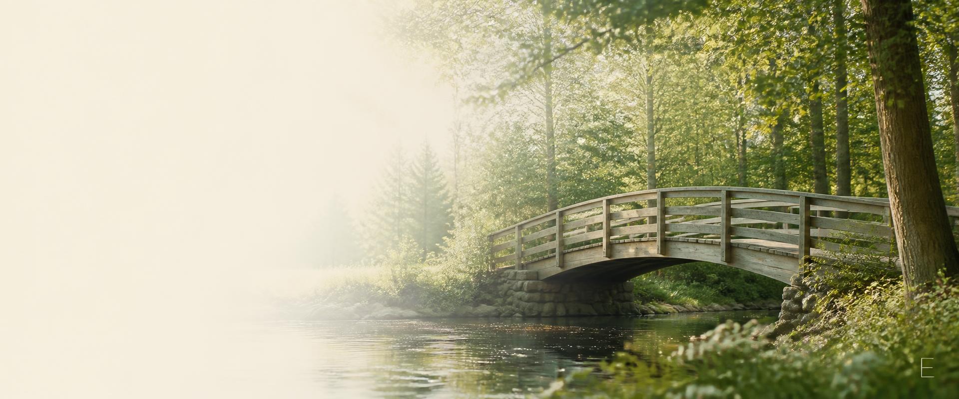 Wooden bridge over calm water in a sunlit forest